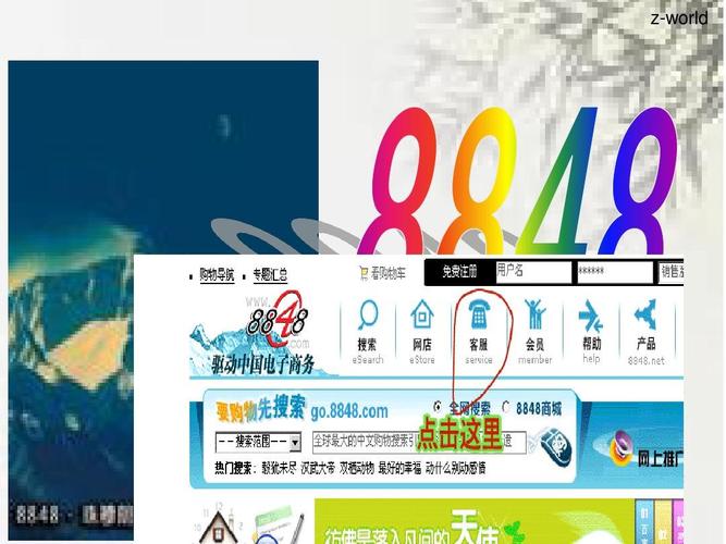 8848电子商务 从珠峰的高度到商业的深度